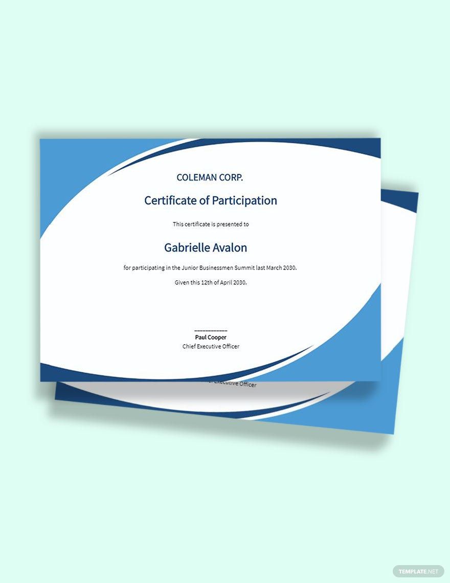 Program Participation Certificate in Word, Google Docs, Apple Pages, Publisher