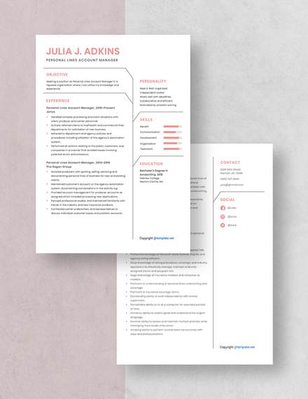 Personal Lines Account Manager Resume Download
