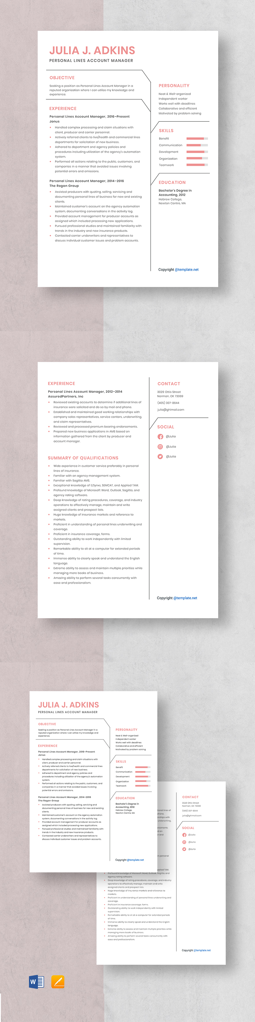 Digital Personal Shopper Resume