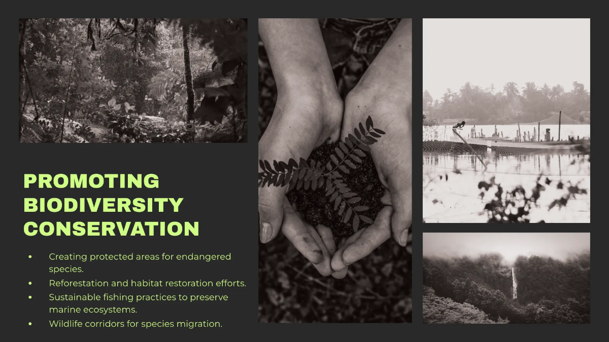 Free Environment Introduction PPT Template to Edit Online