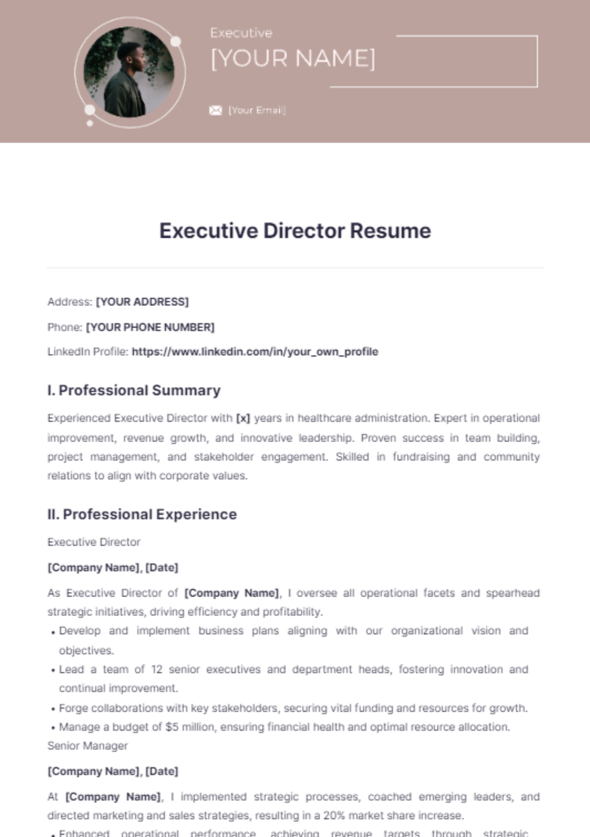 Executive Director Resume - Edit Online & Download