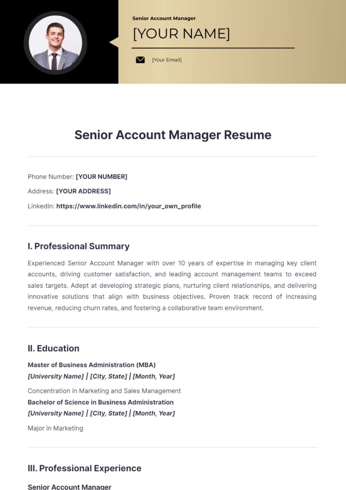 Senior Account Manager Resume - Edit Online & Download