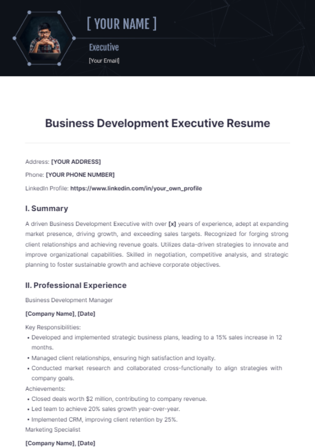 Business Development Executive Resume - Edit Online & Download