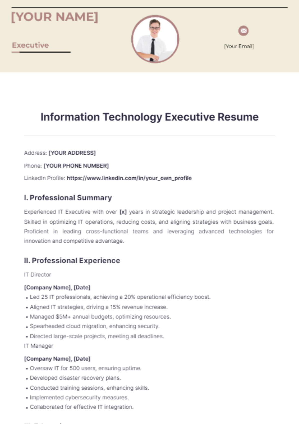 Information Technology Executive Resume - Edit Online & Download