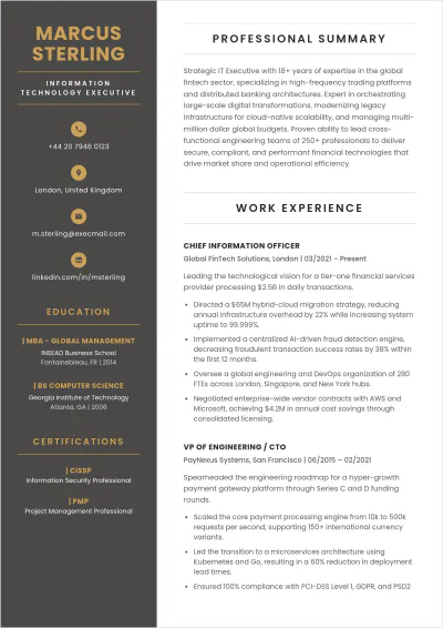Free Information Technology Executive ATS Resume Template