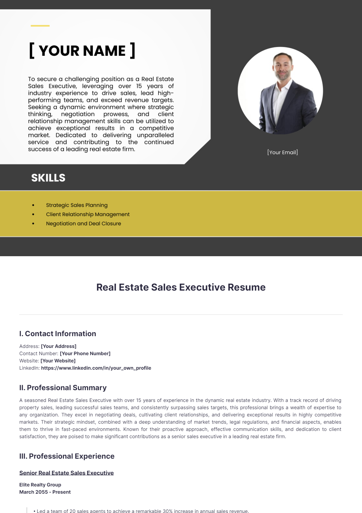 Real Estate Sales Executive Resume - Edit Online & Download