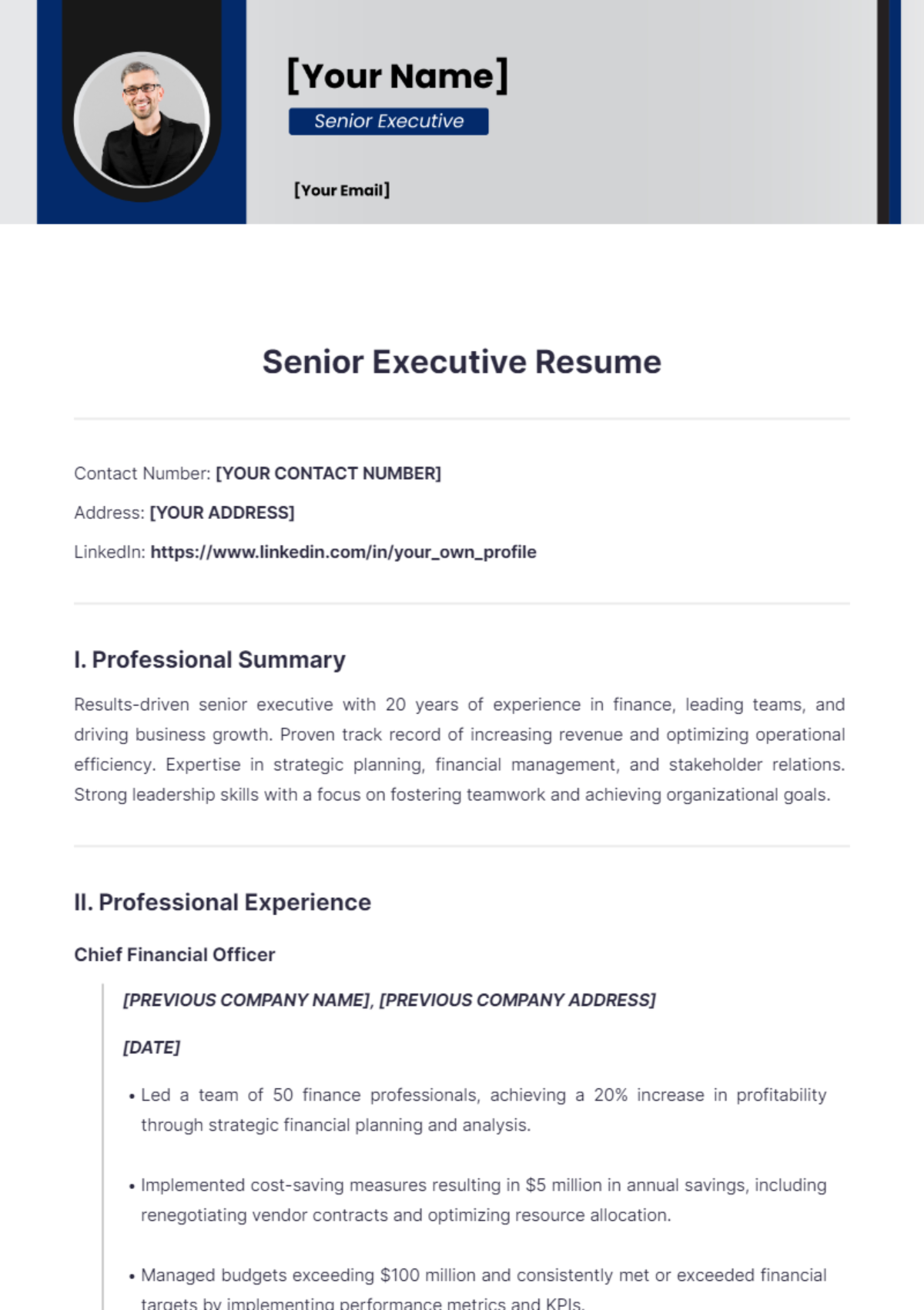 Senior Executive Resume - Edit Online & Download