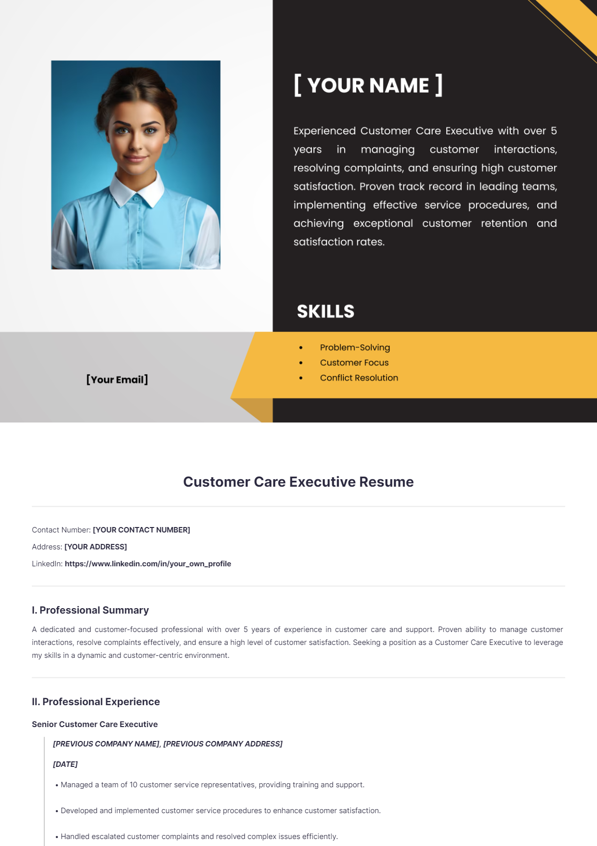 Customer Care Executive Resume - Edit Online & Download