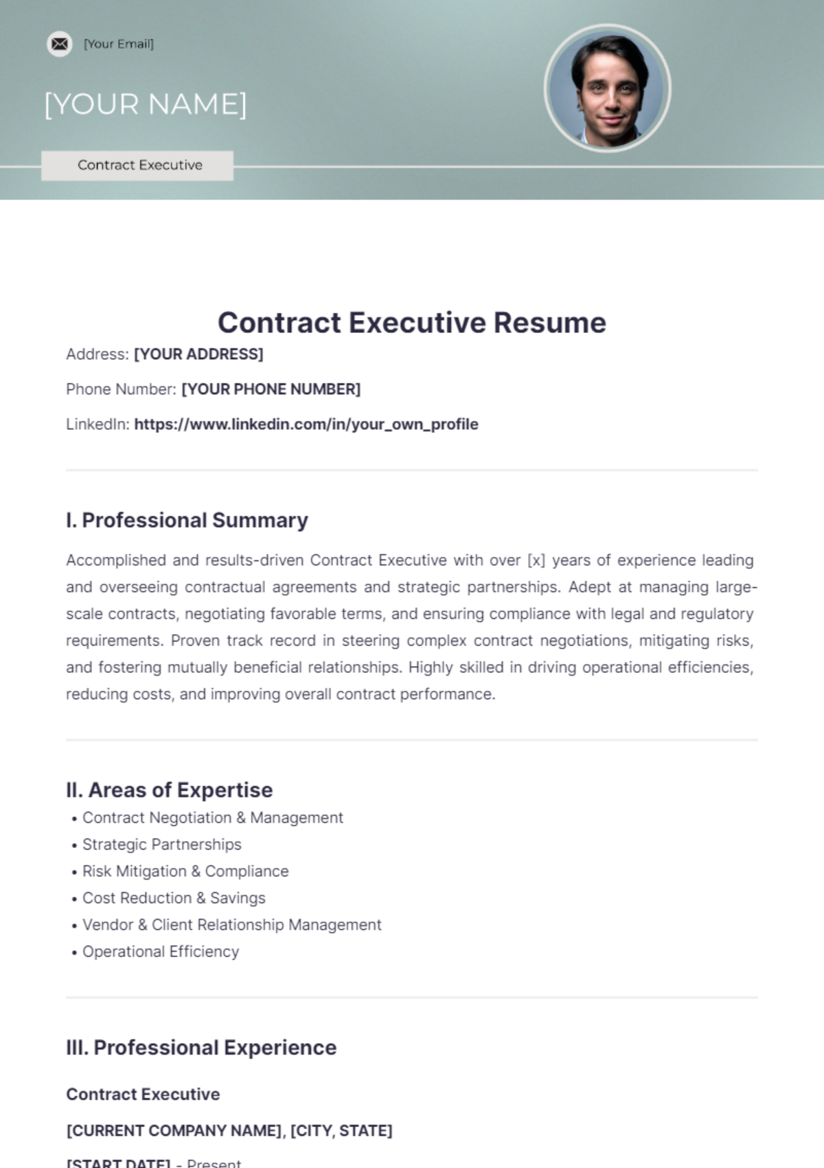 Contract Executive Resume - Edit Online & Download