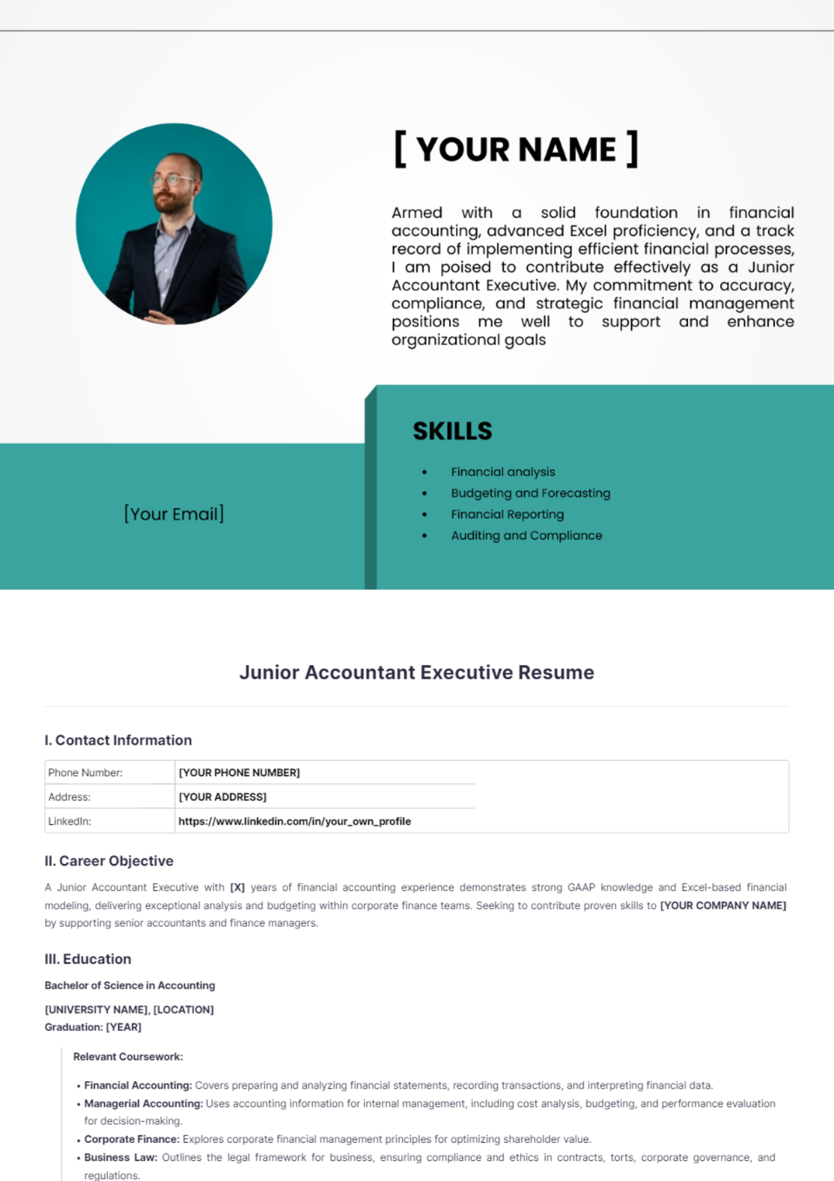 Junior Accountant Executive Resume - Edit Online & Download