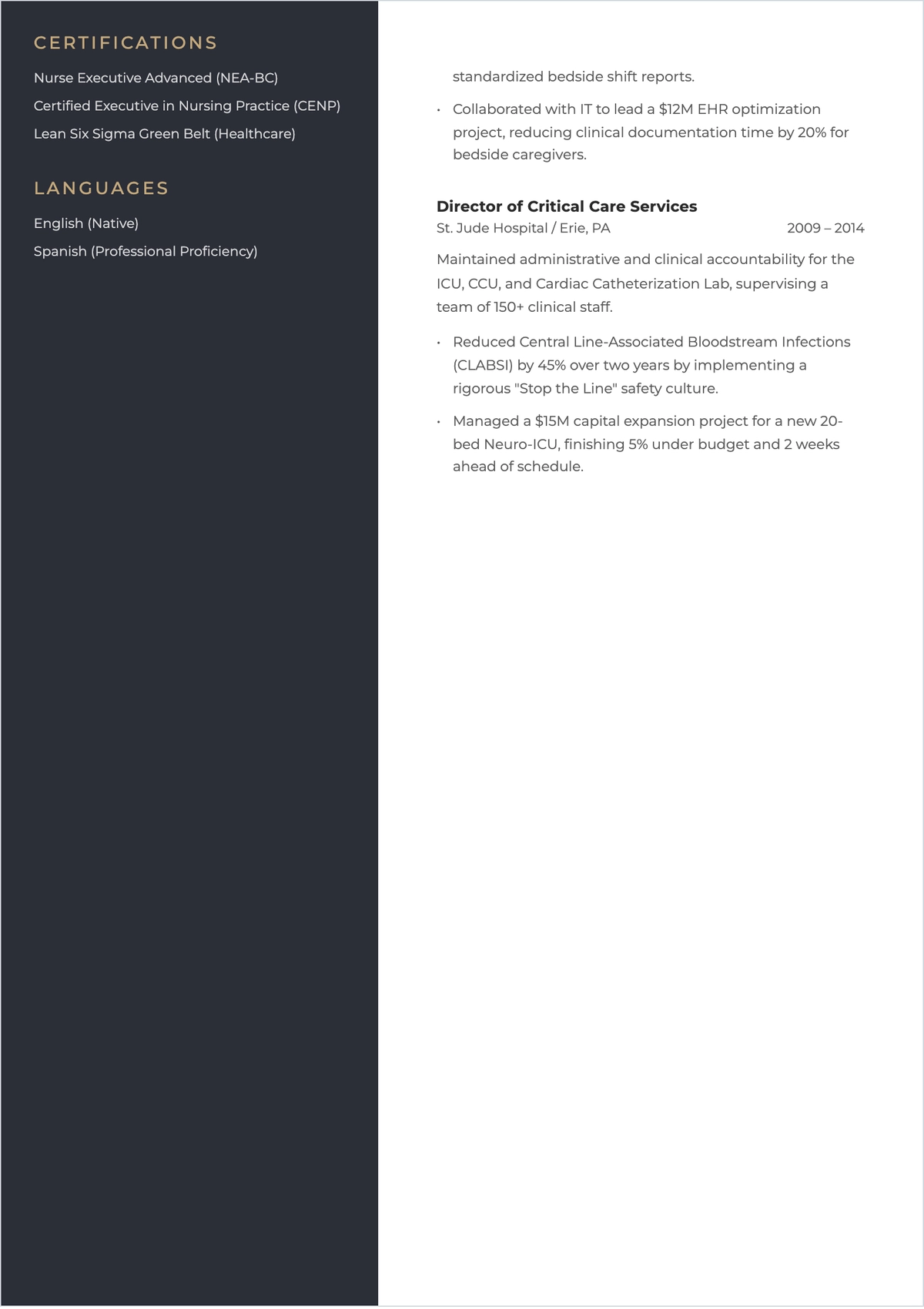 Free Nurse Executive ATS Resume Template, AI Resume Builder