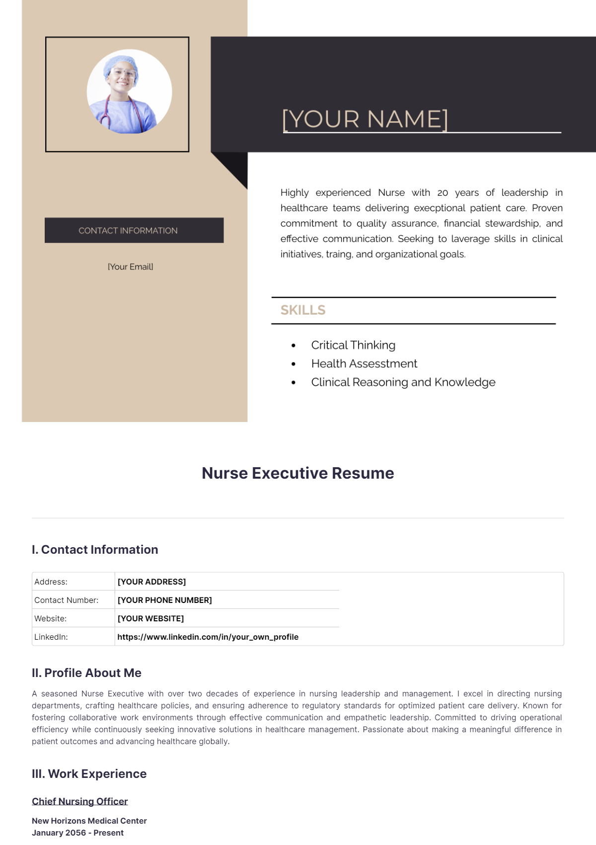 Nurse Executive Resume - Edit Online & Download