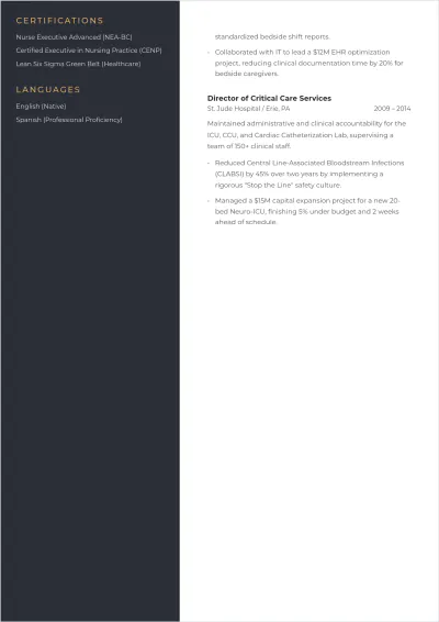 Free Nurse Executive ATS Resume Template, AI Resume Builder