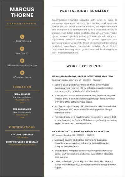 Free Financial Executive ATS Resume Template, AI Resume Builder