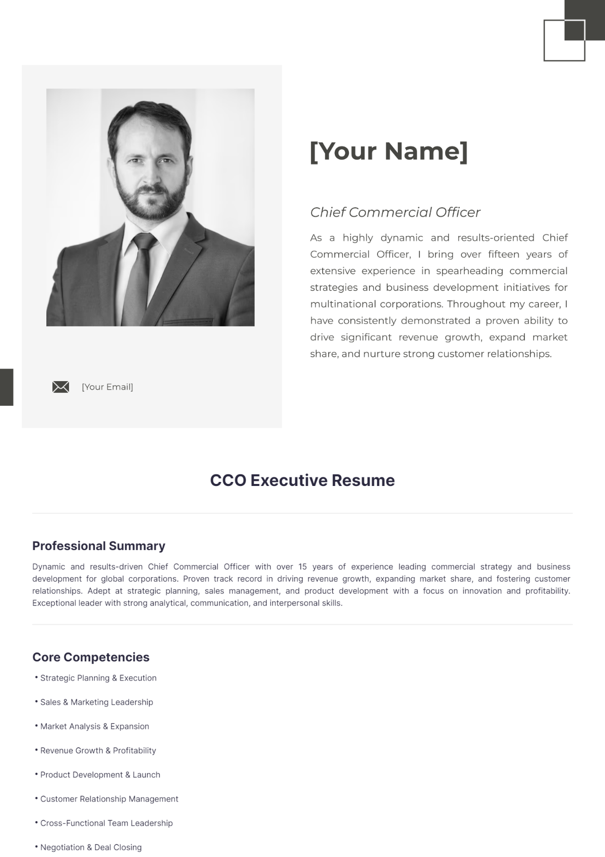 CCO Executive Resume - Edit Online & Download