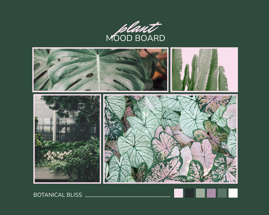 Plant Mood Board
