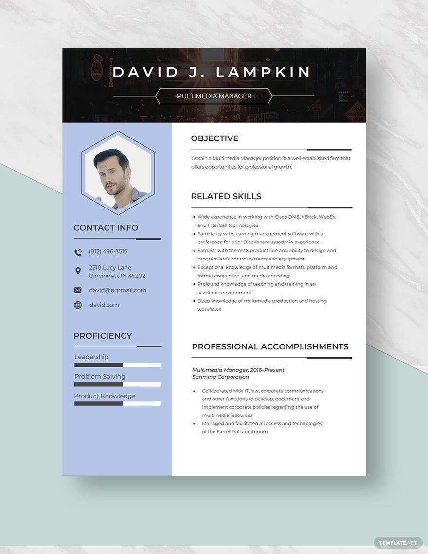 Free Multimedia Manager Resume Template