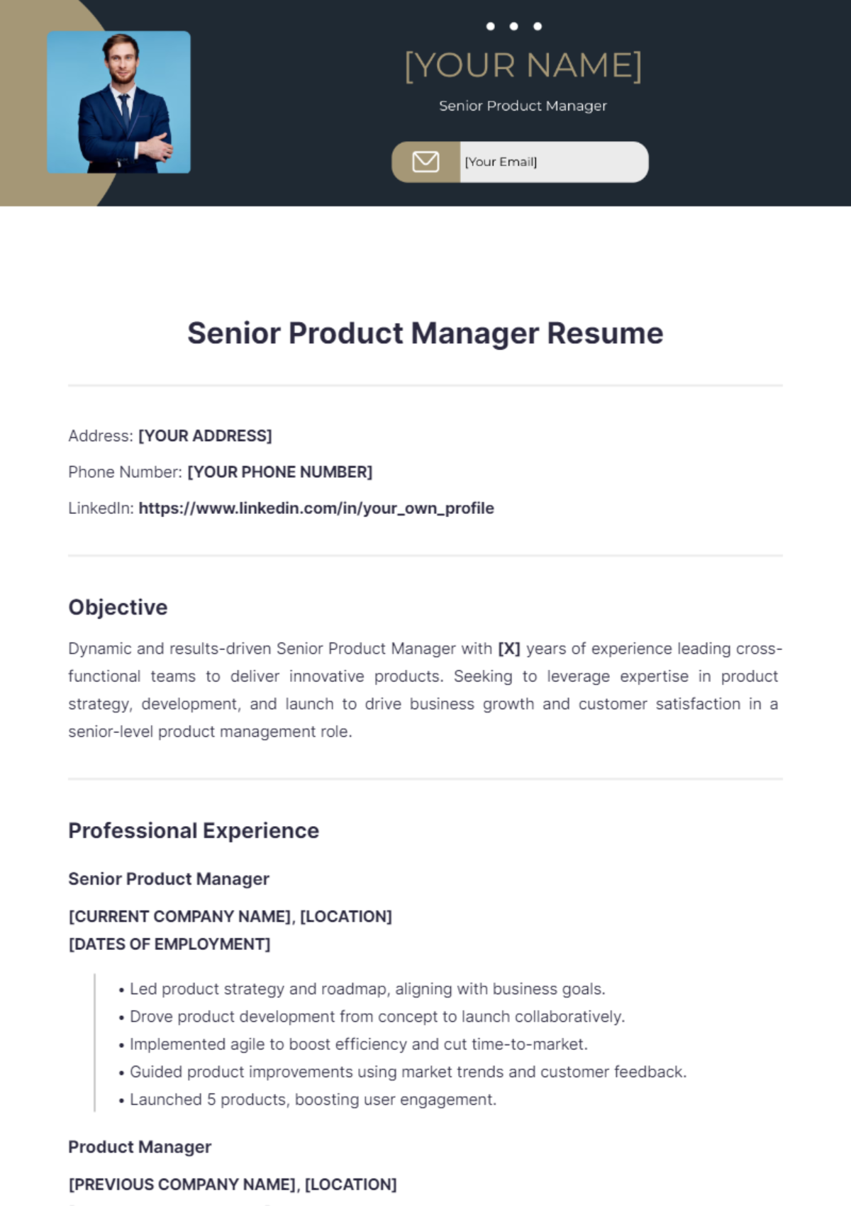 Senior Product Manager Resume - Edit Online & Download