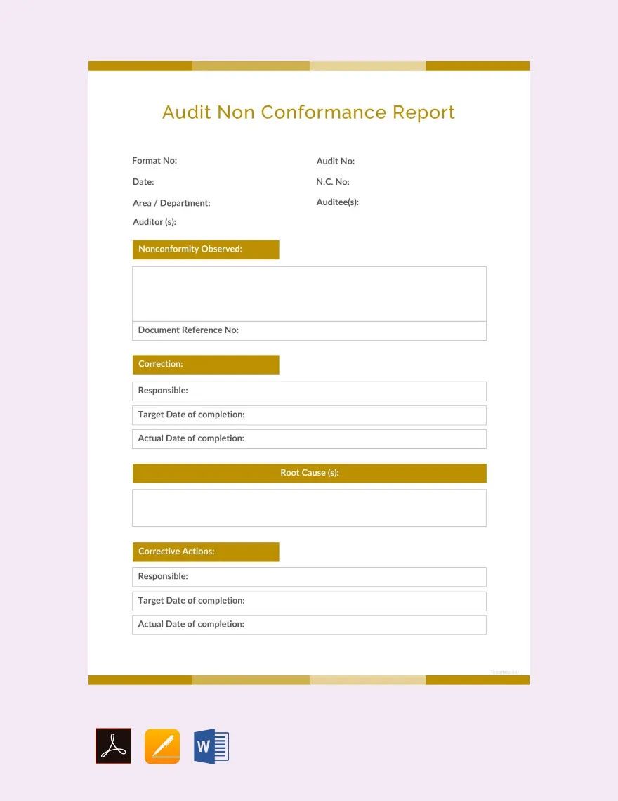 Audit Non conformance Report Template