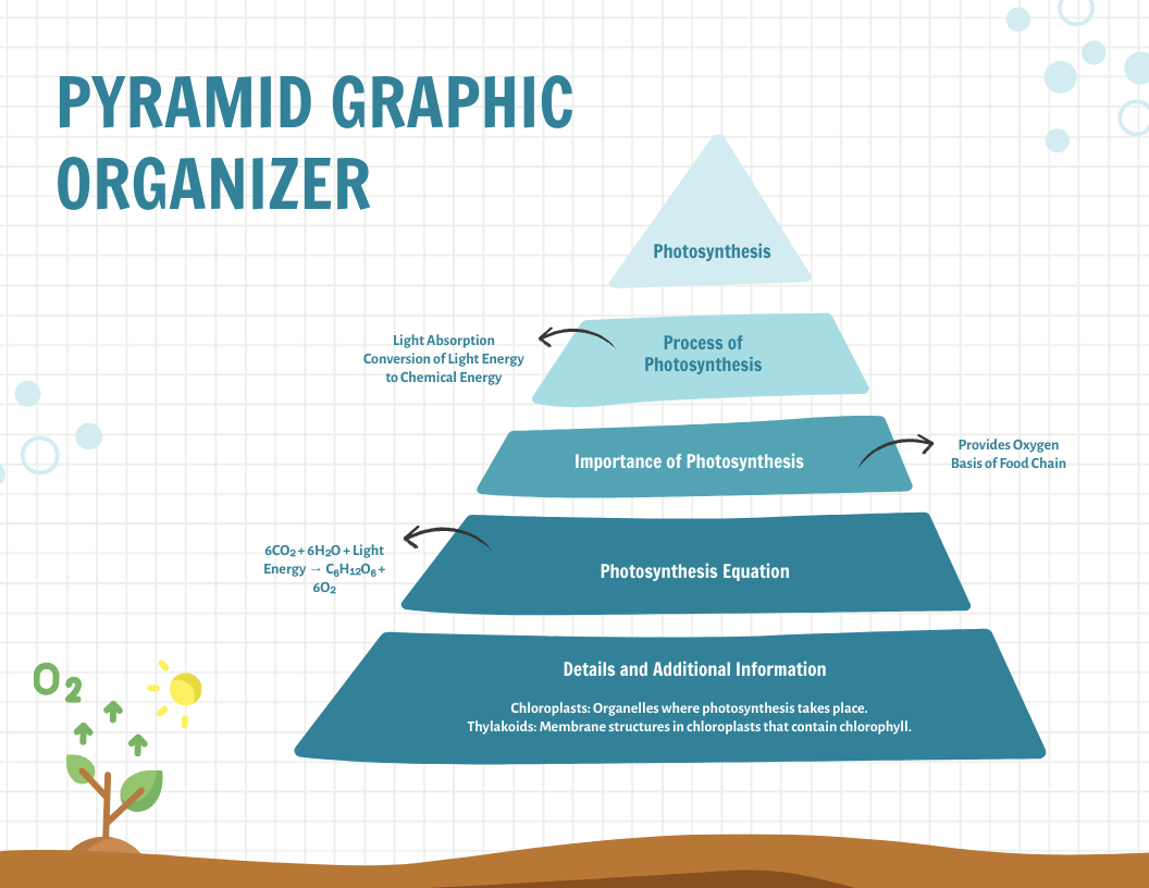 Pyramid Graphic Organizer