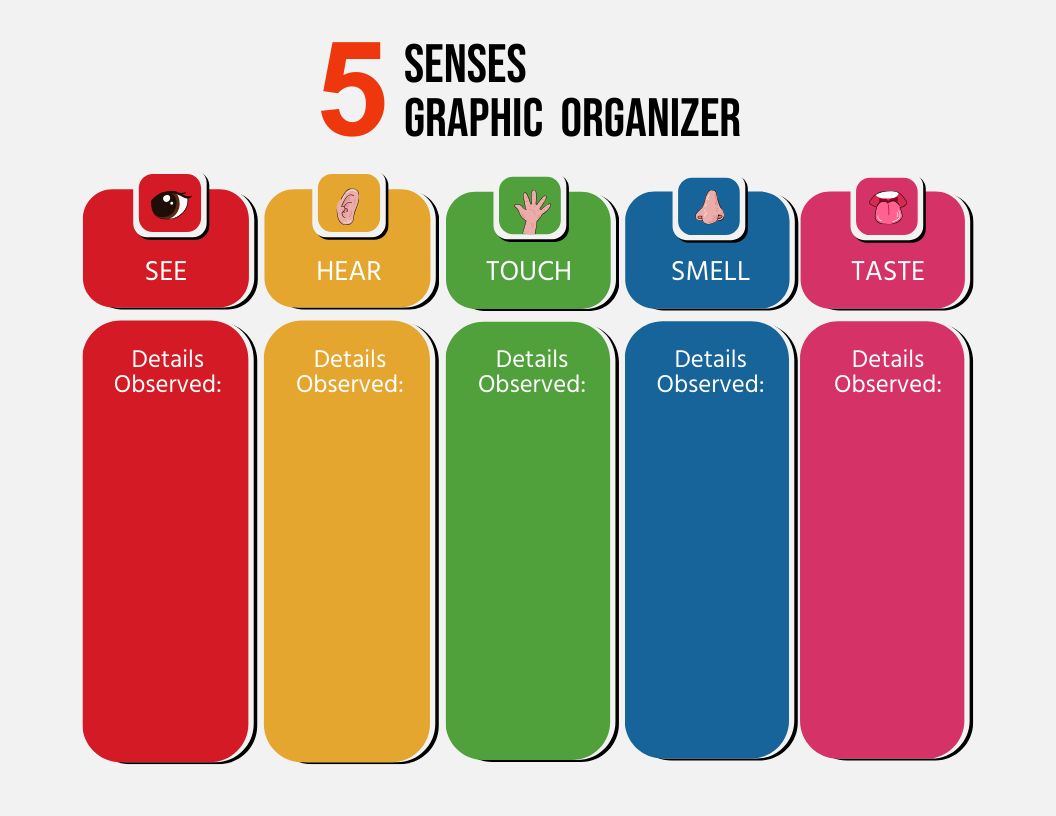 5 Senses Graphic Organizer