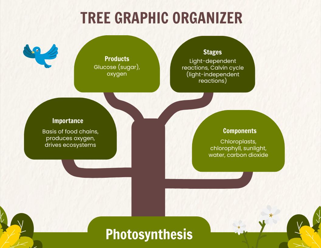 Tree Graphic Organizer