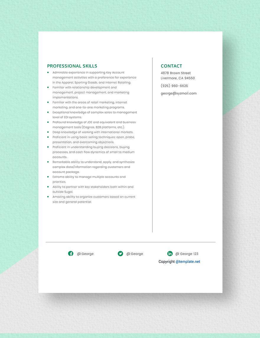 Inside Key Account Manager Resume Template
