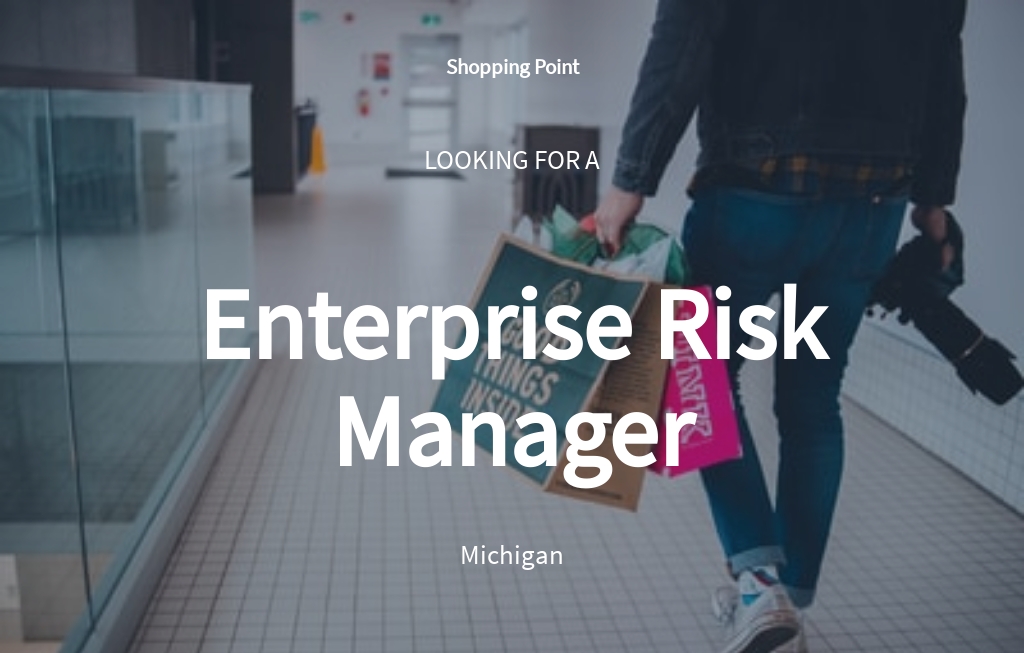 risk manager description