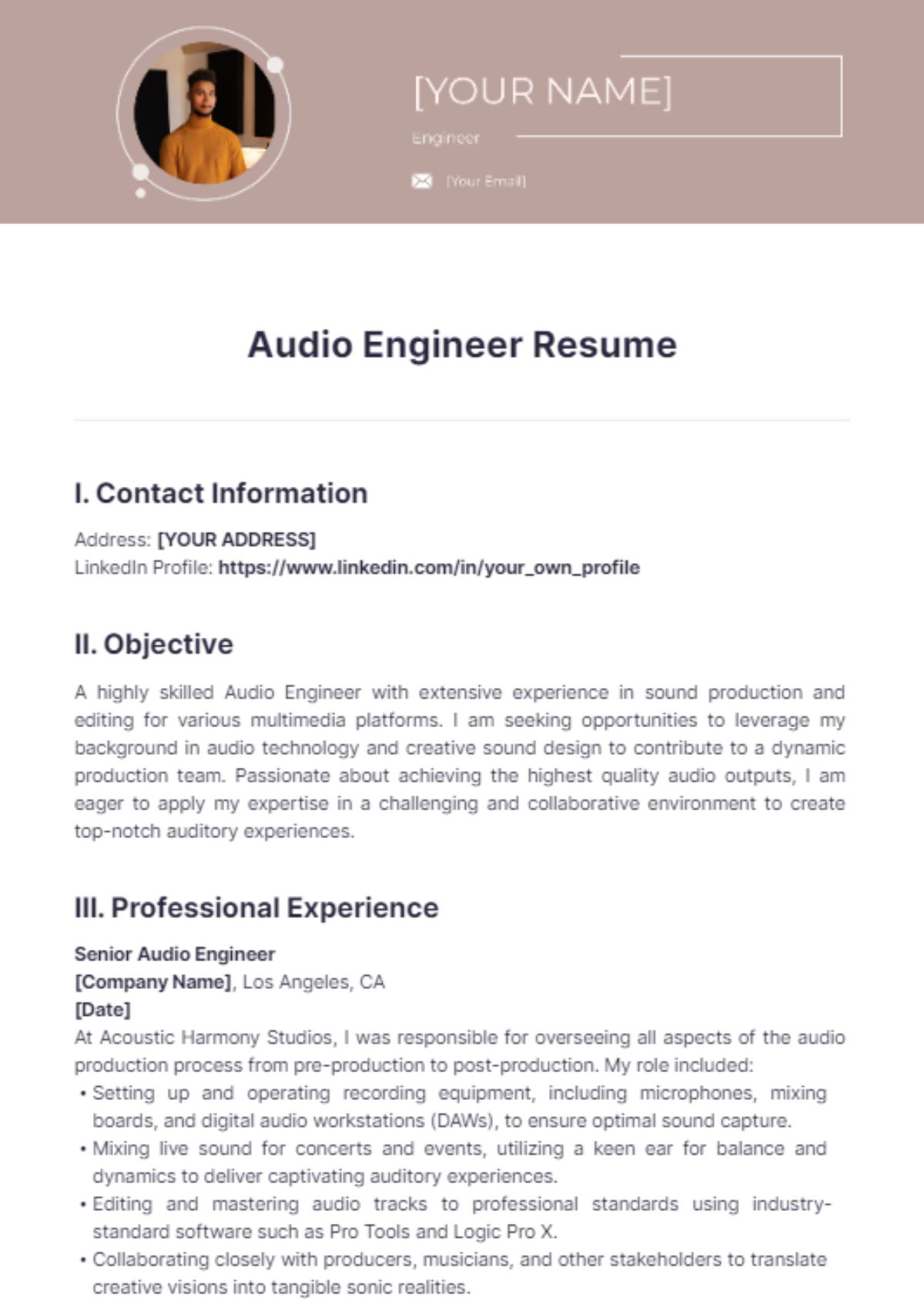 Audio Engineer Resume - Edit Online & Download