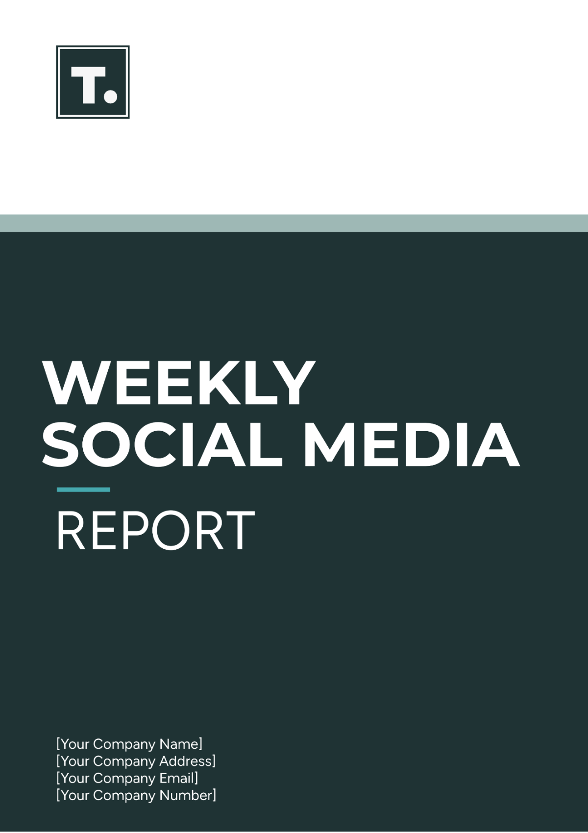 Weekly Social Media Report Template - Edit Online & Download