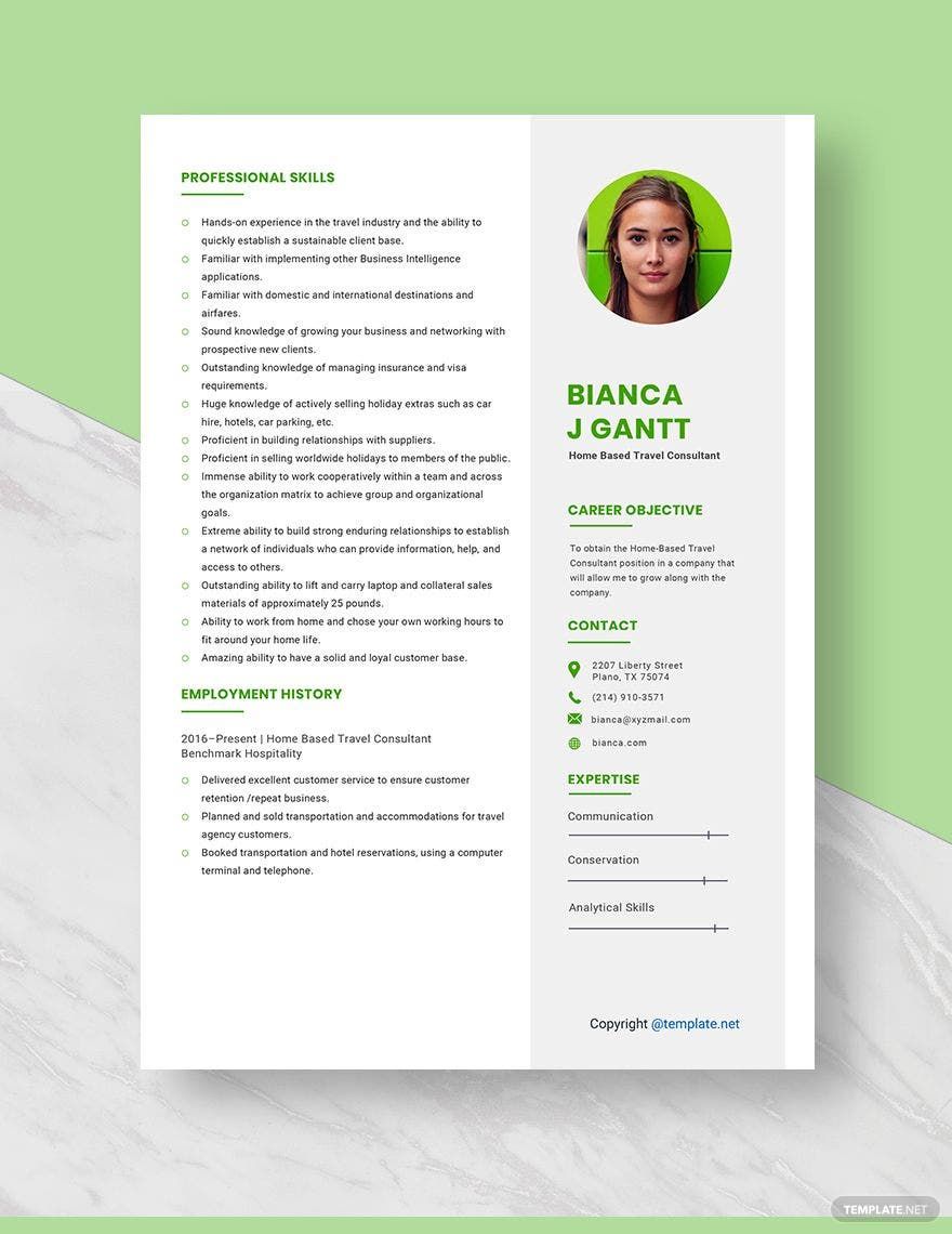 Home-Based Travel Consultant Resume