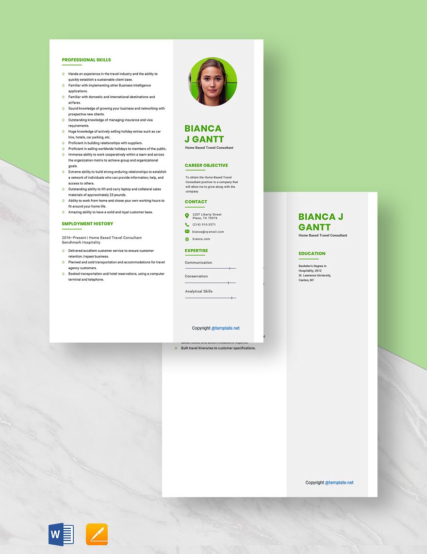 Home-Based Travel Consultant Resume