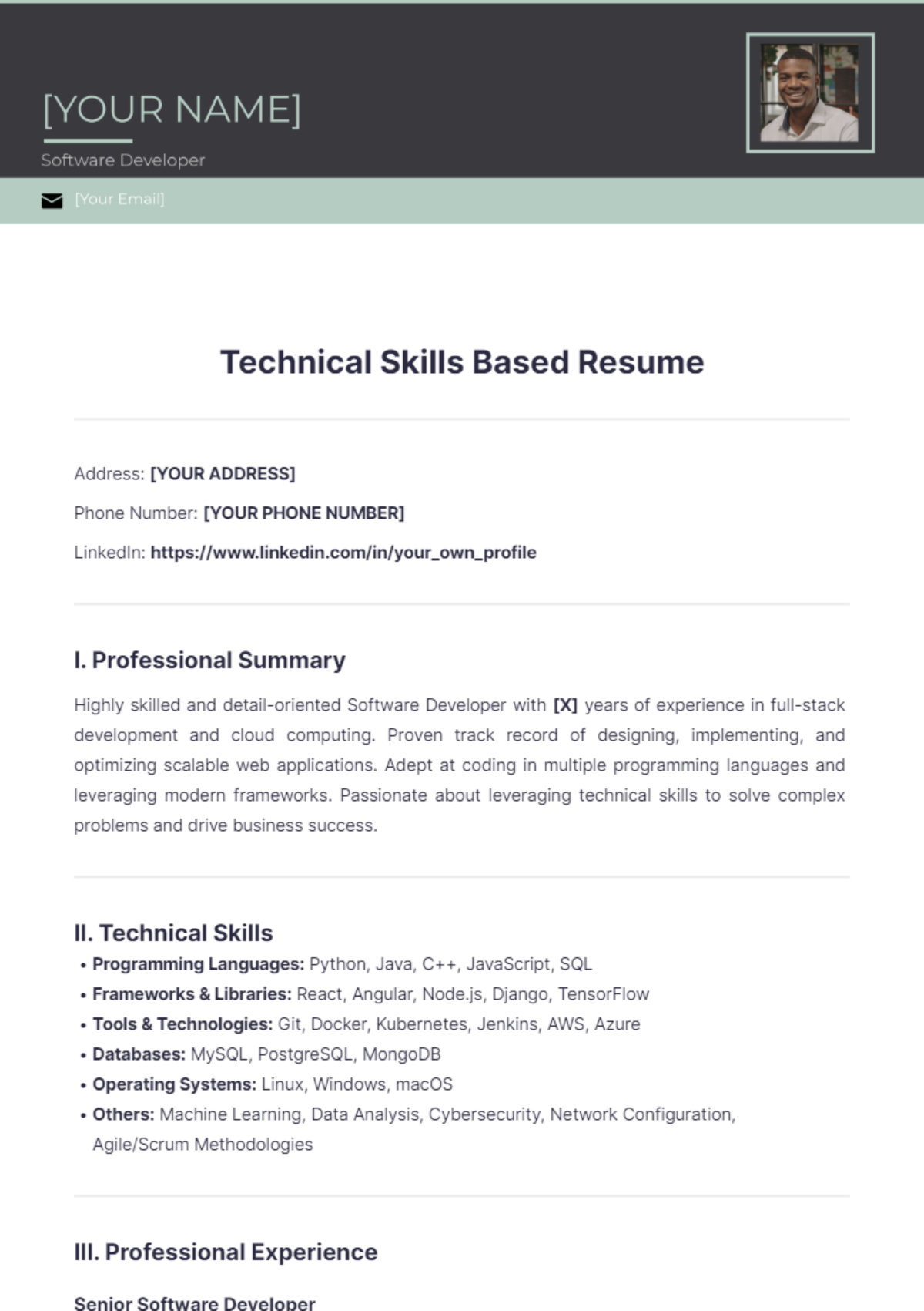 Technical Skills Based Resume - Edit Online & Download