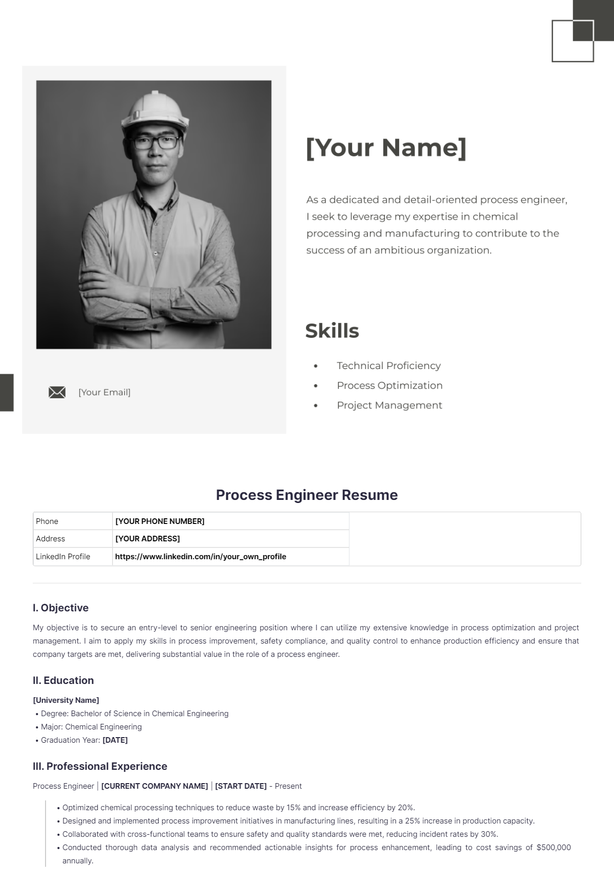 Process Engineer Resume - Edit Online & Download