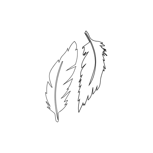 Feather Outline