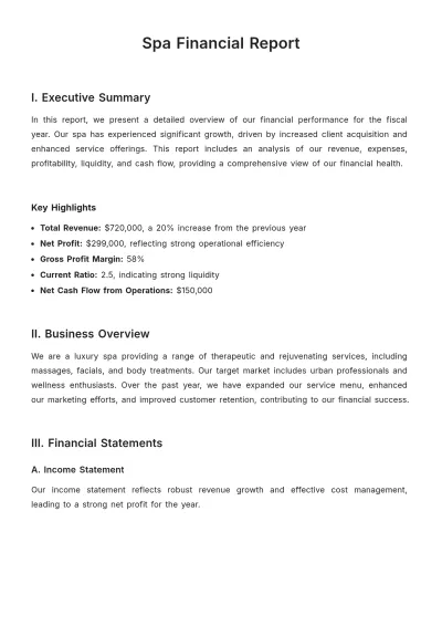 Free Spa Financial Report Template to Edit Online