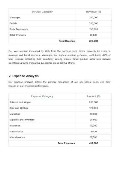 Free Spa Financial Report Template to Edit Online