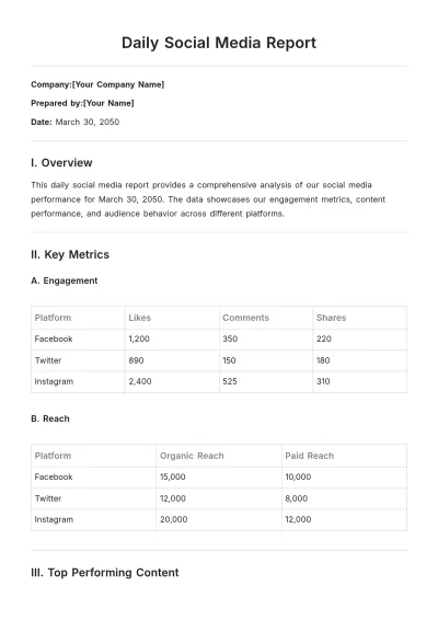 Free Daily Social Media Report Template to Edit Online
