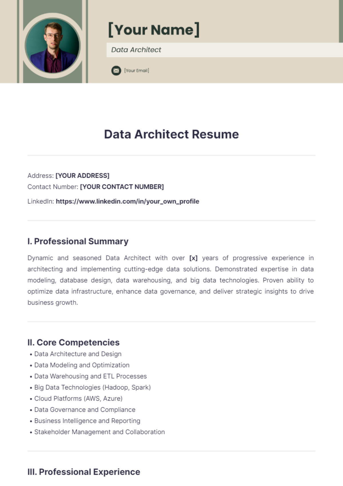 Data Architect Resume - Edit Online & Download Example | Template.net