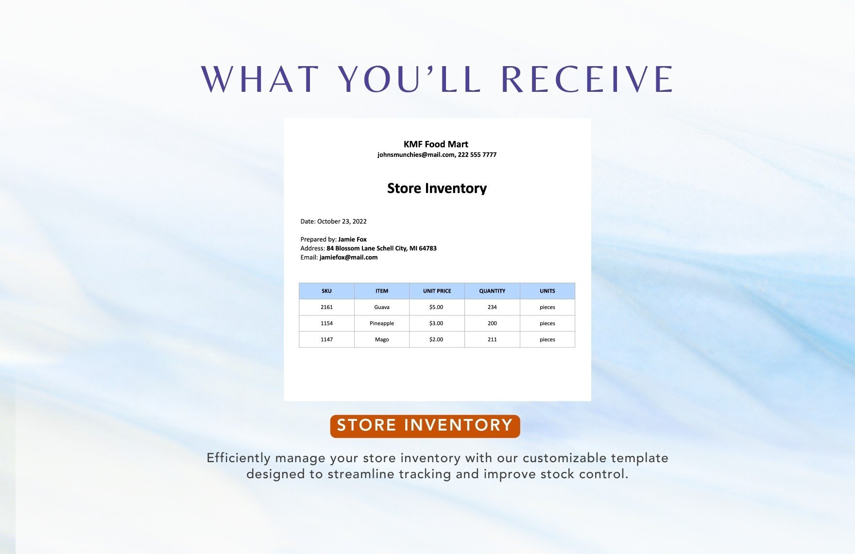 Store Inventory Template