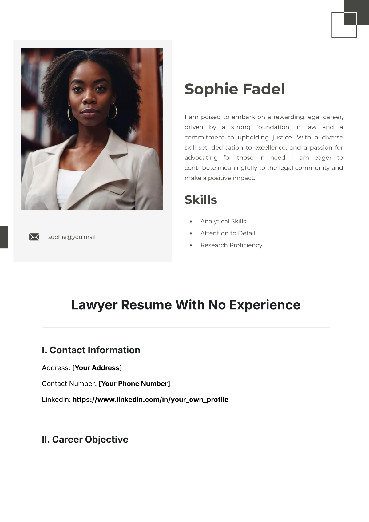 Free Lawyer Resume With No Experience Template