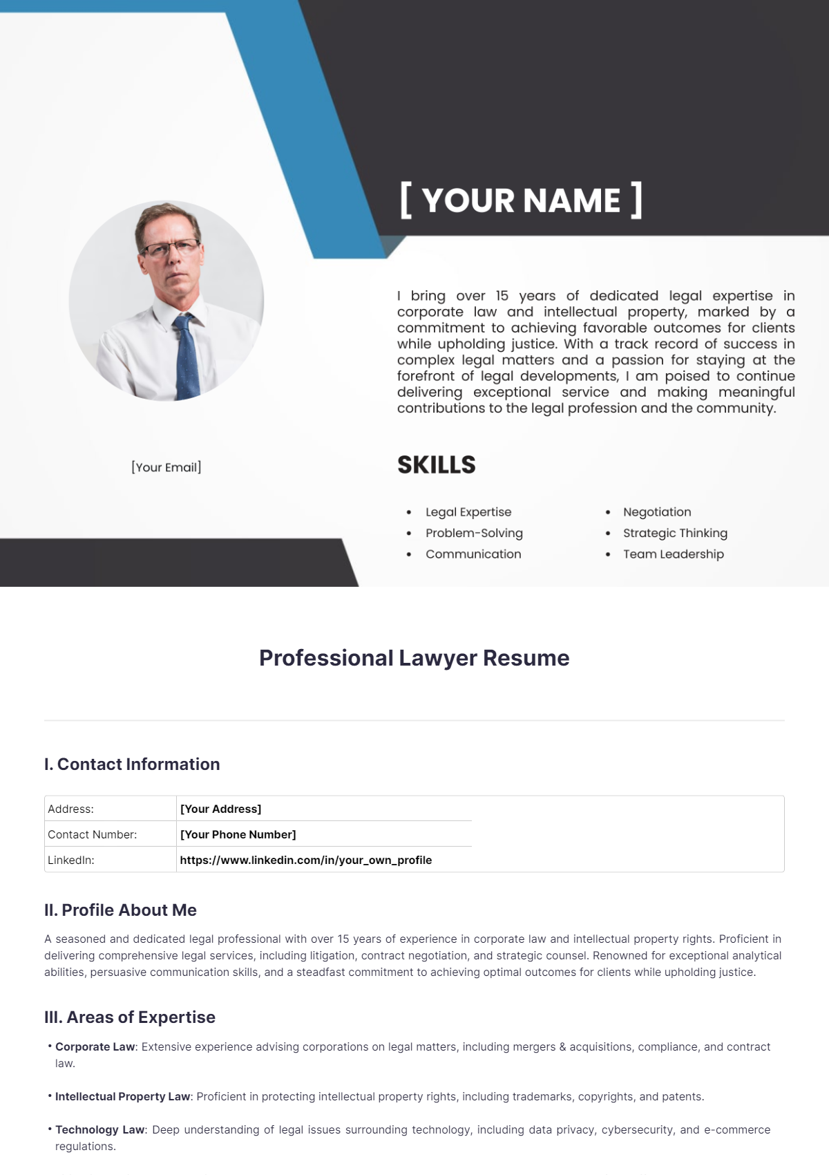 Professional Lawyer Resume - Edit Online & Download