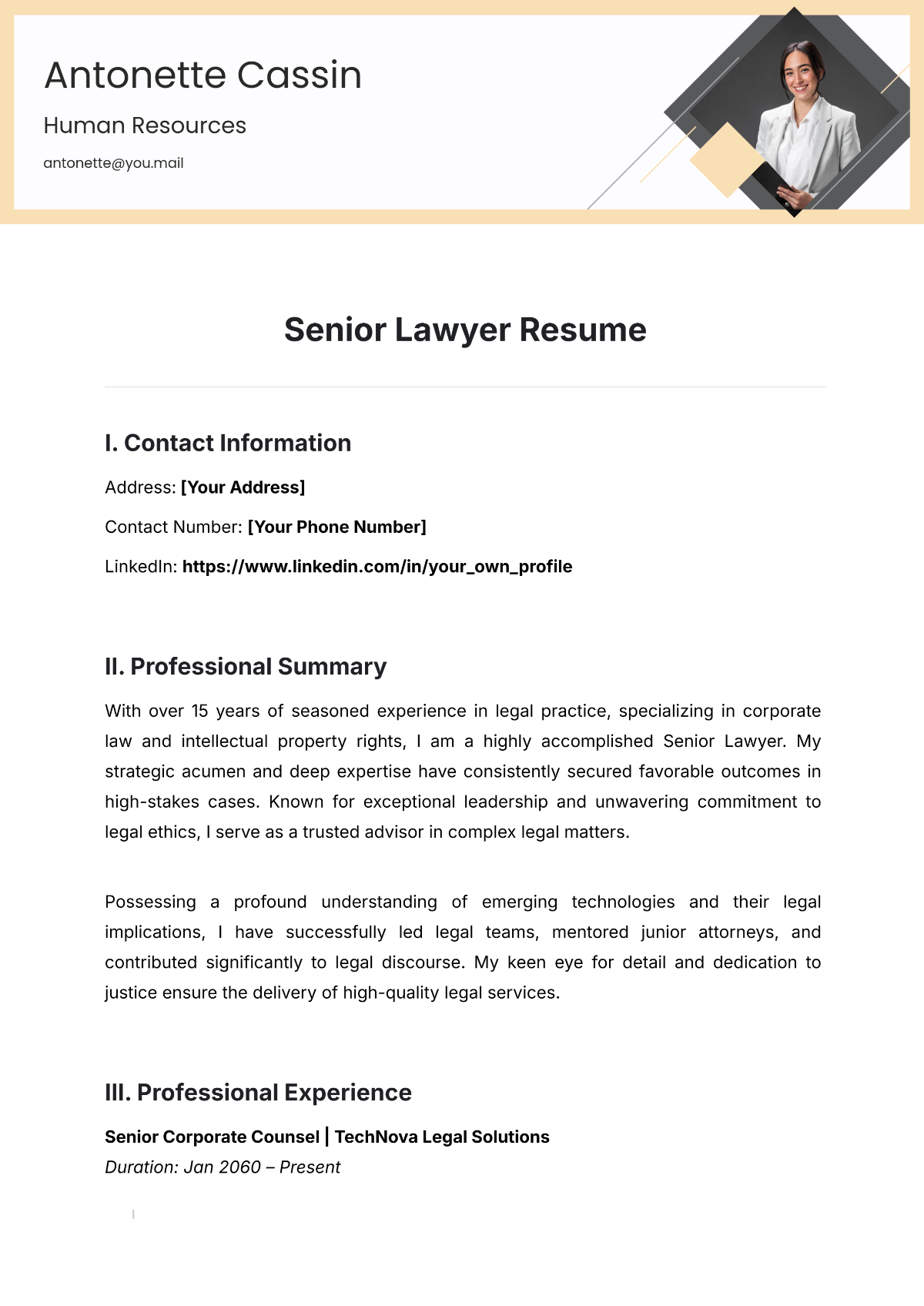 Free Senior Lawyer Resume Template