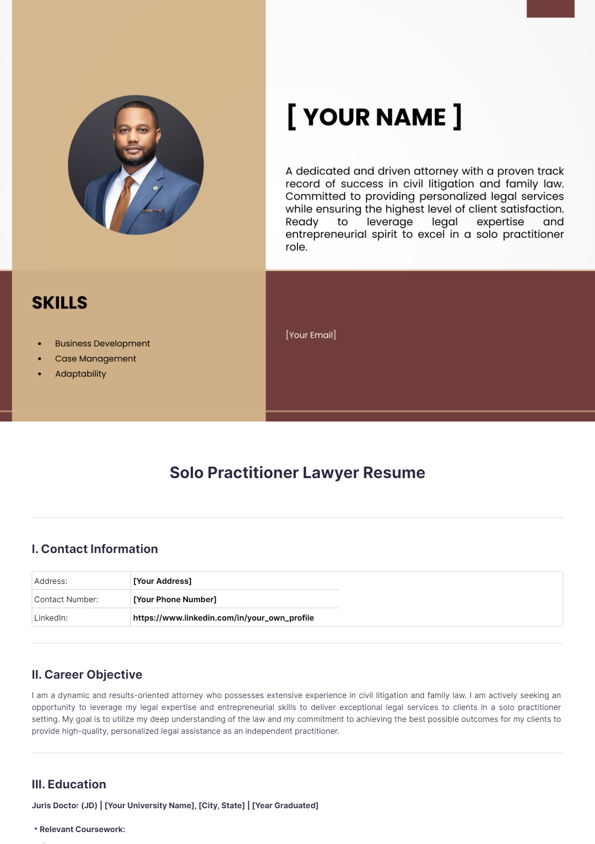 Solo Practitioner Lawyer Resume - Edit Online & Download