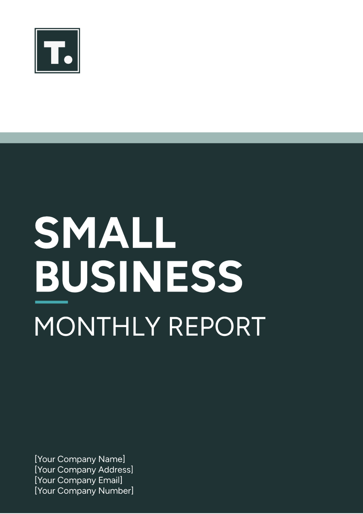 Small Business Monthly Report Template - Edit Online & Download