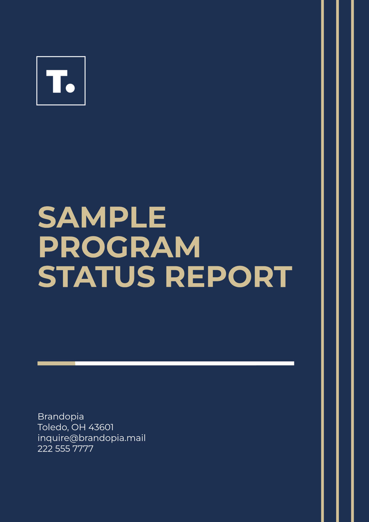 Free Sample Program Status Report Template