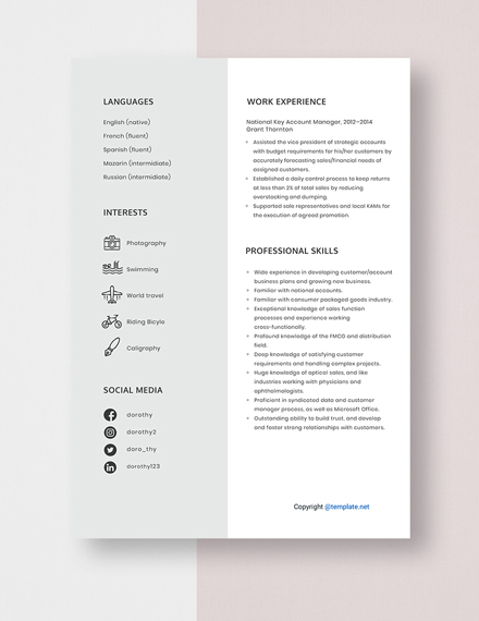 National Key Account Manager Resume Template