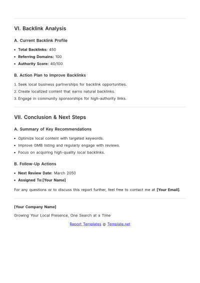 Free Local SEO Report for Agencies Template to Edit Online
