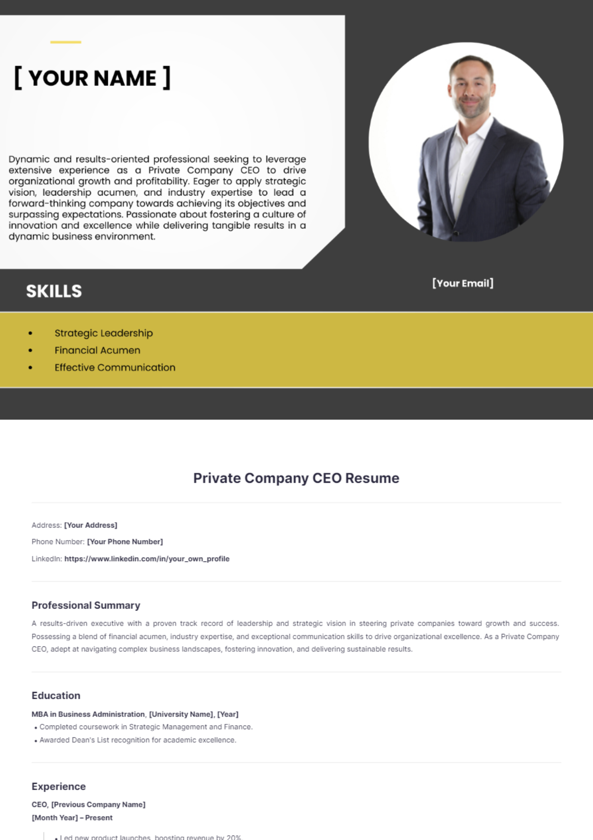 Private Company CEO Resume - Edit Online & Download