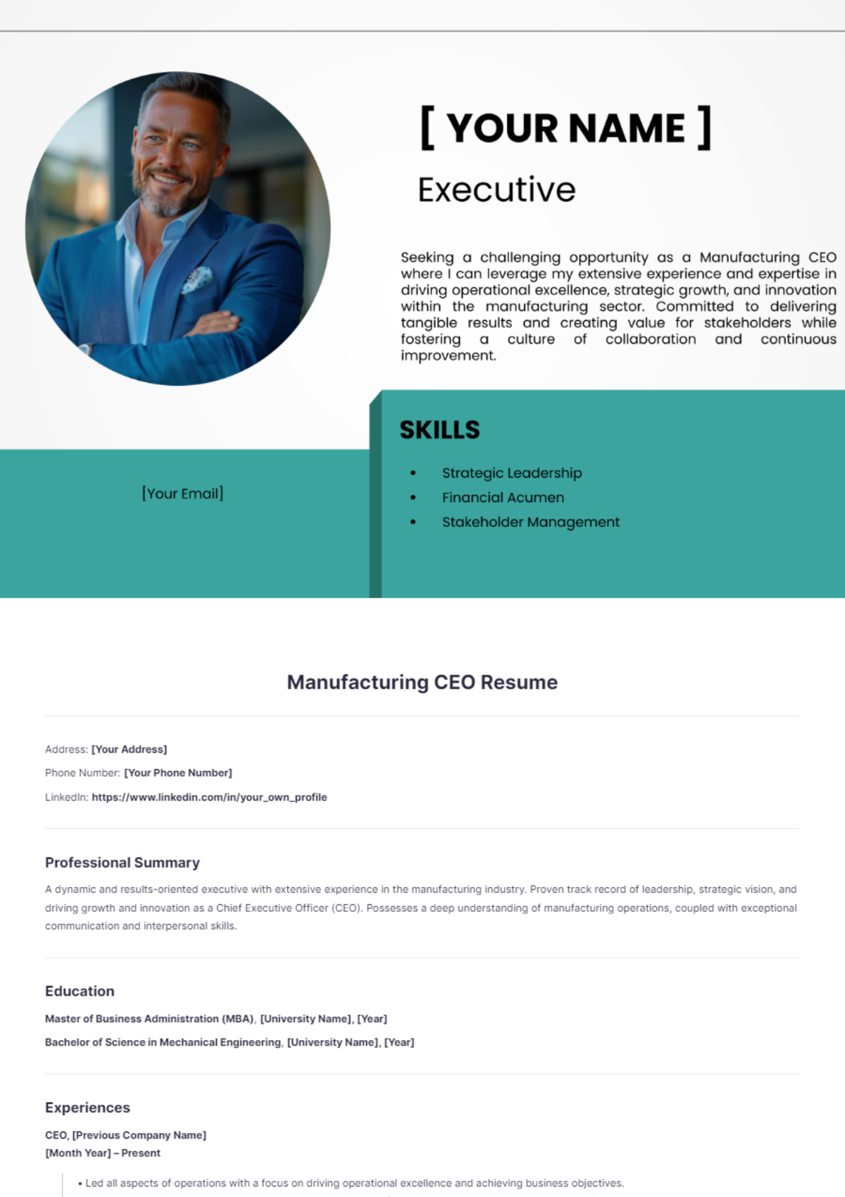 Manufacturing CEO Resume - Edit Online & Download